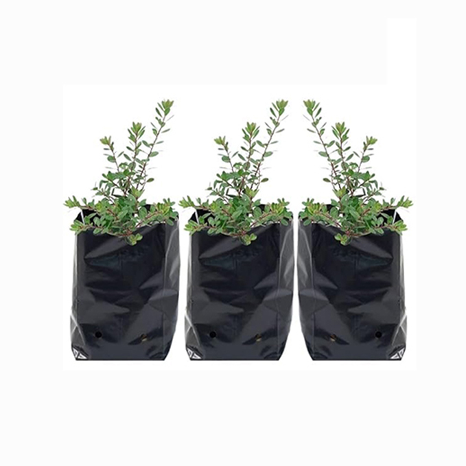 NURSERY BAGS – BLACK COLOR